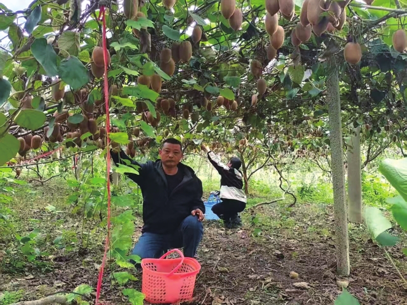 һ������� ��͸���·