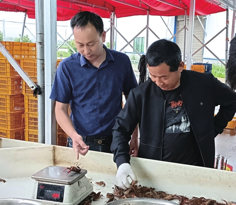 ������ �������� ��������»���