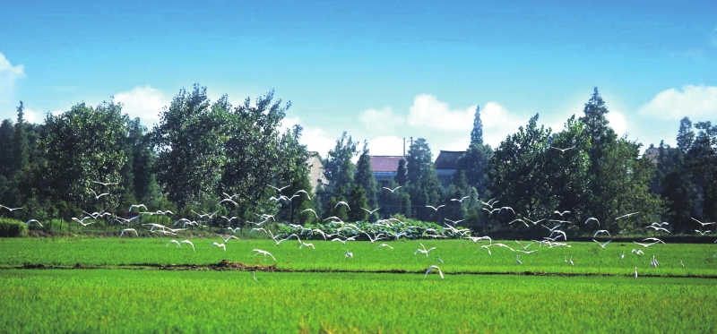 ��ɽ�����Ǻ���ѡ������Ҫʪ����¼