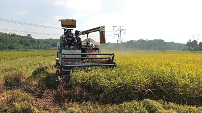 ���պá��ᡱ�� �������ʱ