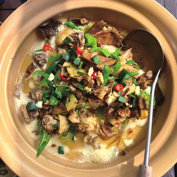 Ұɽ������