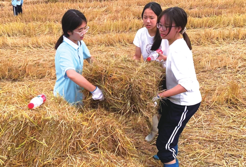 ����յ��������Ͷ���