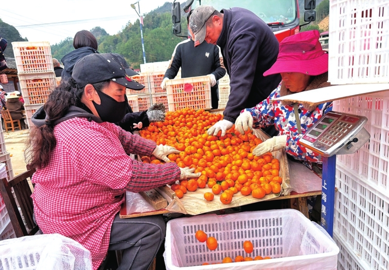 �������ٲ�����