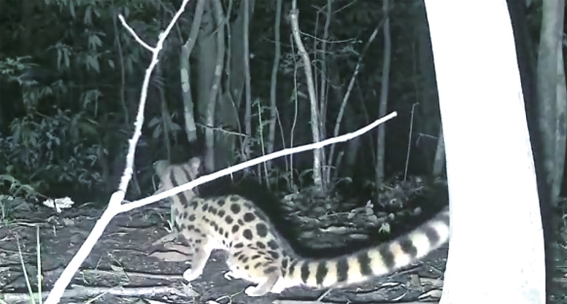 ��������������Ϫ