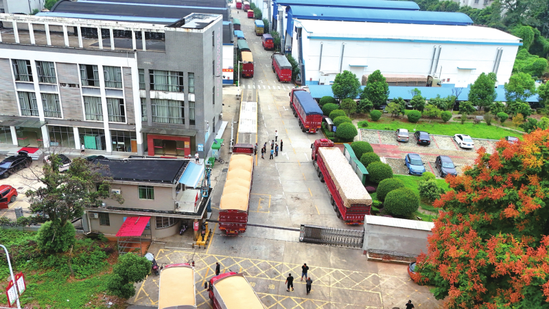 ������ɫ���� �������з���