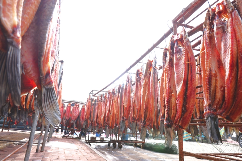 ��ͥ���������