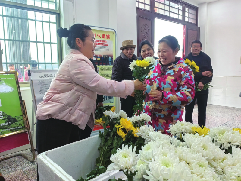 ���������ճ�  �·绯������