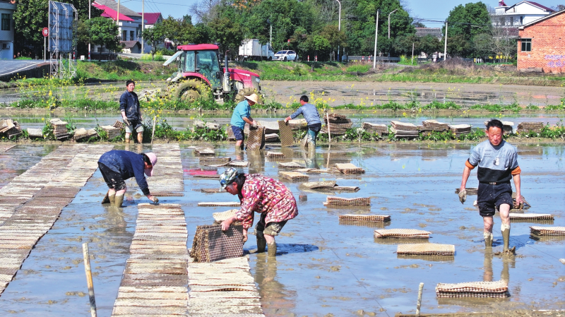 һ����������䣺����12345��ũҵũ�岿��������������