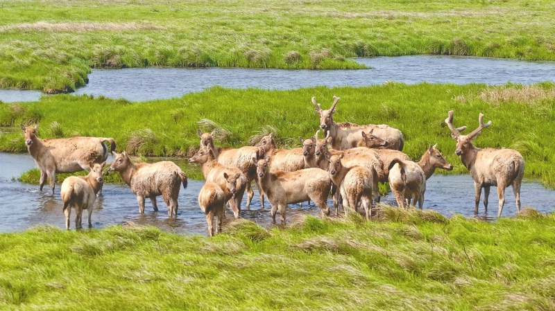 20��ͷ��¹�����϶�ͥ