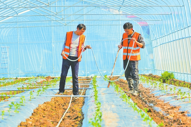 ���� ָ��ܴ��� ����������