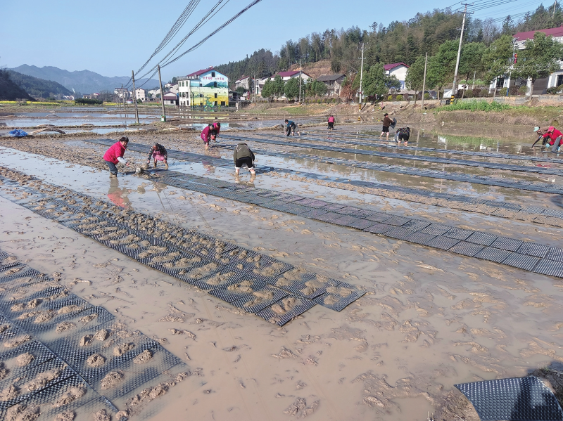 ������ ��ץũʱæ����