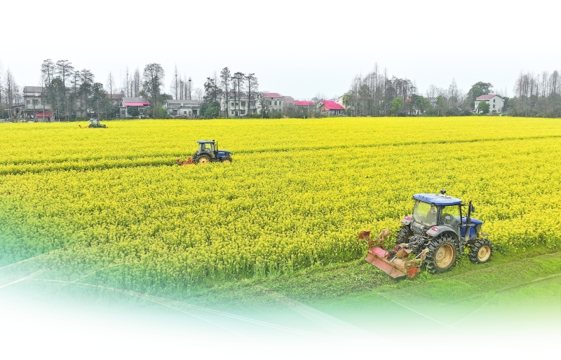 ���;��� ���󡰸�����