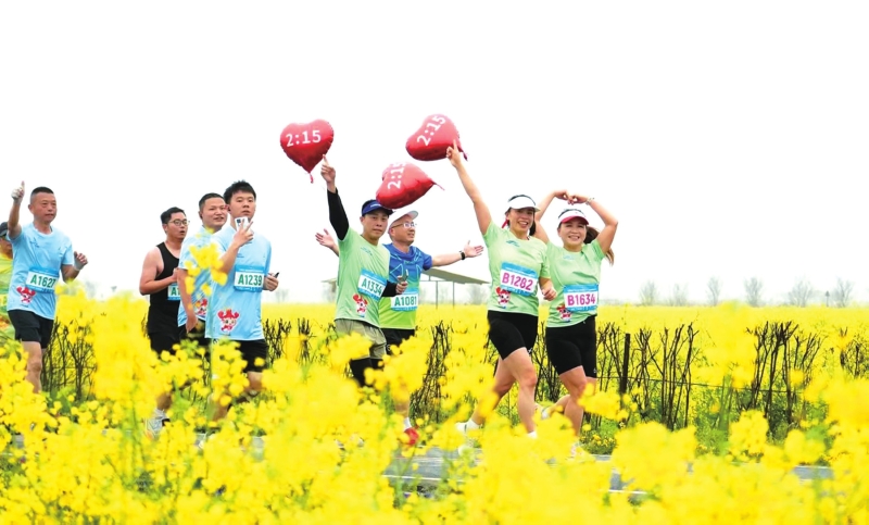 �������Ͳ˻����б���