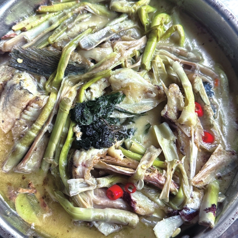 һ��«������ġ�����ζ��