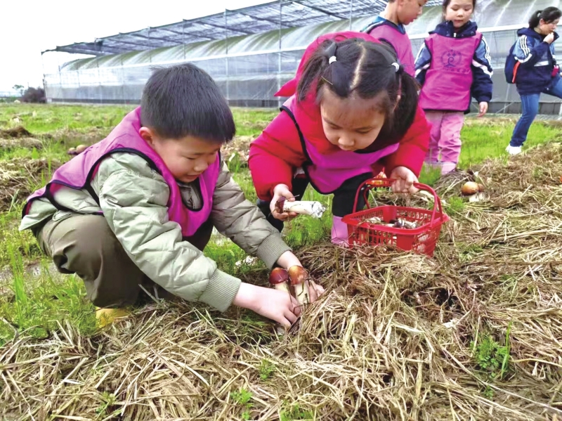 ѧ�������ժ�����ס�