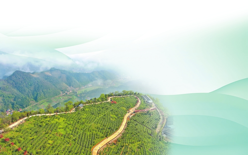 ��ɽ�Ѹ���Լ