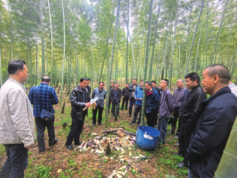 �཭���� ���ðᵽ������  ��׼��������ר�ҡ�