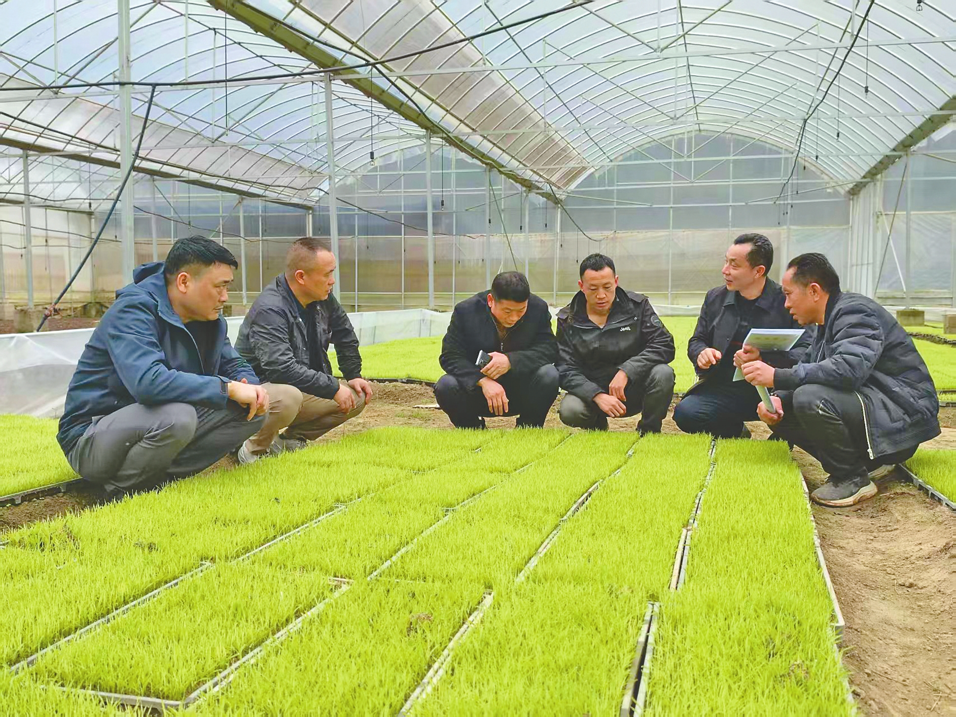 ������ũҵũ���ũ����Ա��������չ�絾��ֲ����ָ������