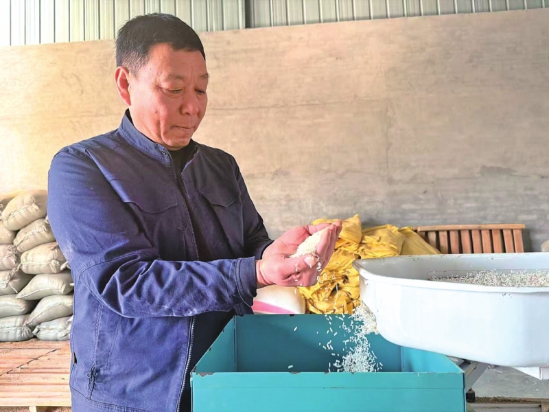 ������ ����ͷ������