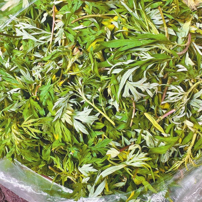 �²�ժ��Ұ�