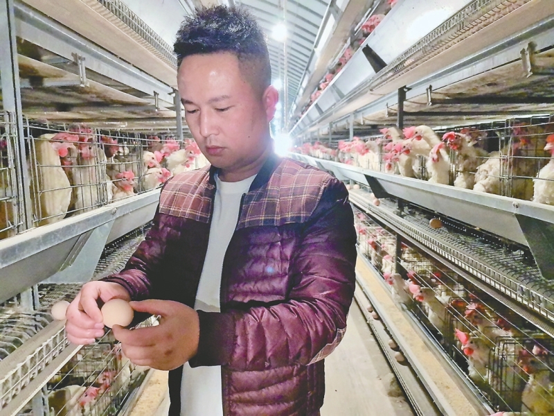 �뿪����  ����������15����