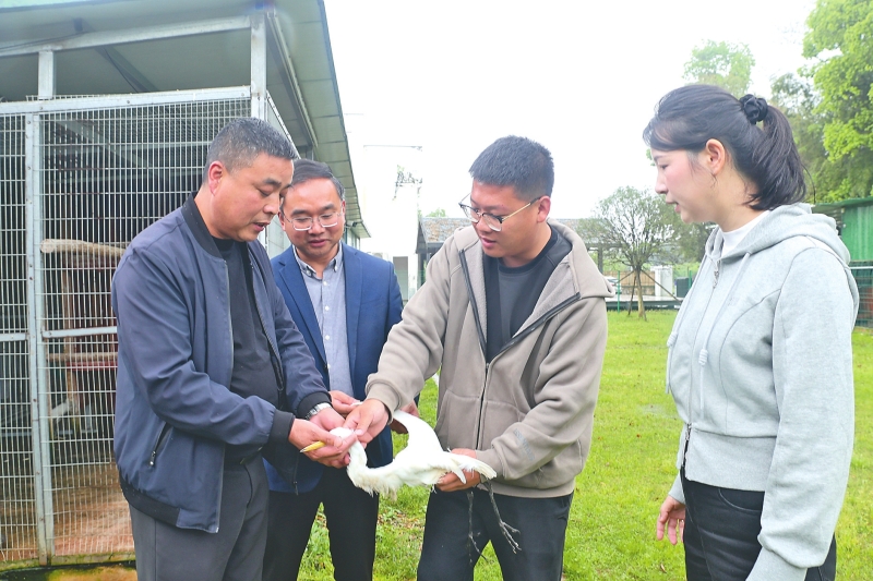 ־Ը�ߡ���ҵר���ھȻ�����һ�������˵�����������