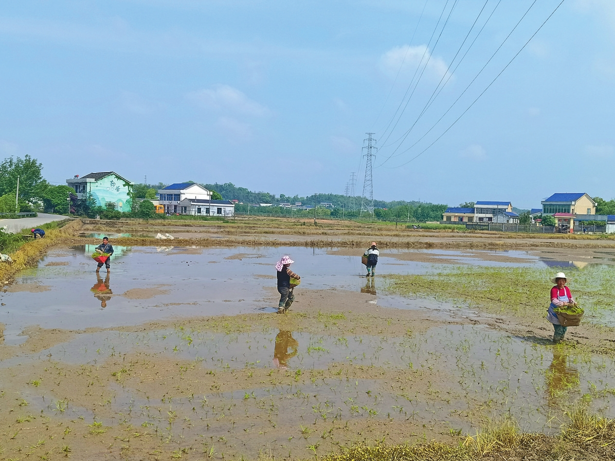 ��ɽ��������������Ӵ������ץũʱ��չ�絾������