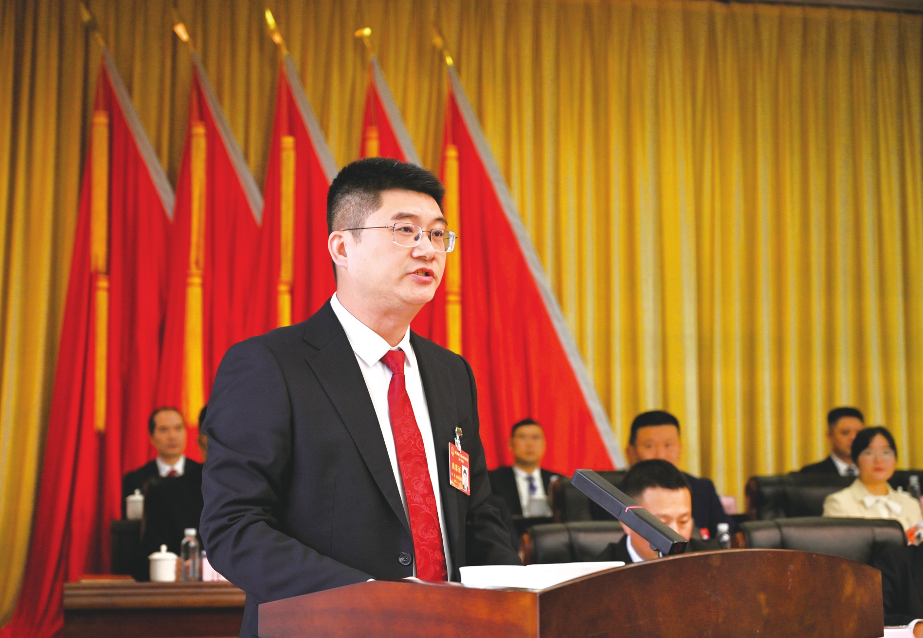 桃江县县长沈澍。