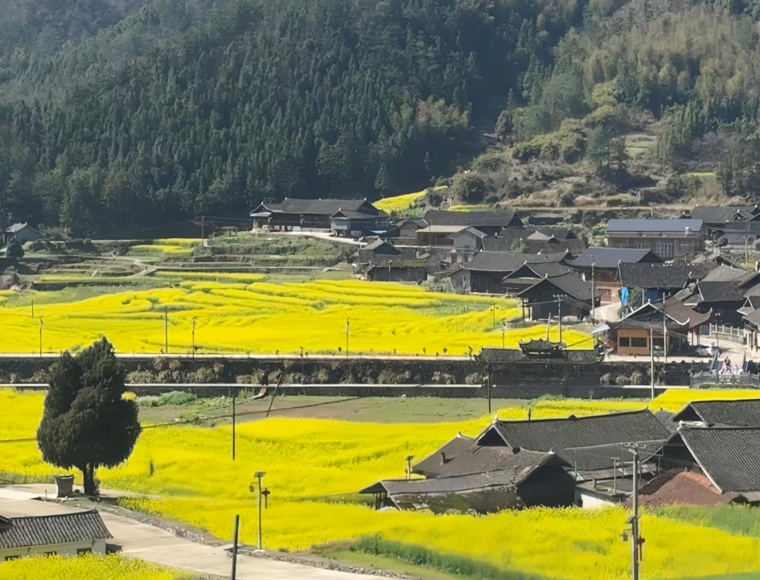 ����羵ͷ���������¡���