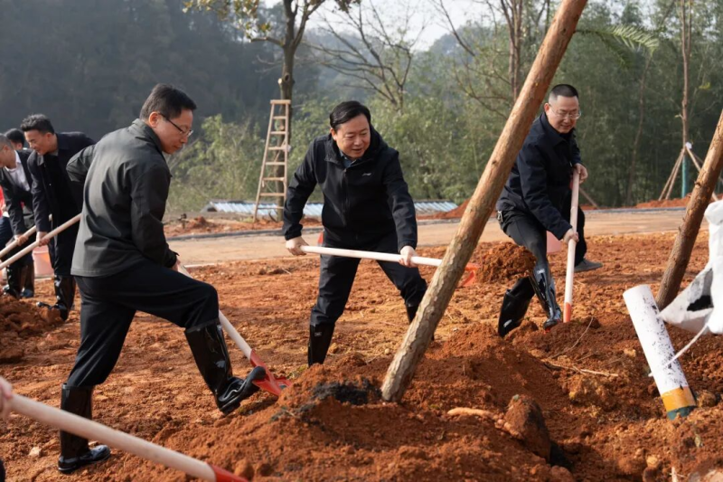 ��쿺����������쵼�μ�����ֲ���